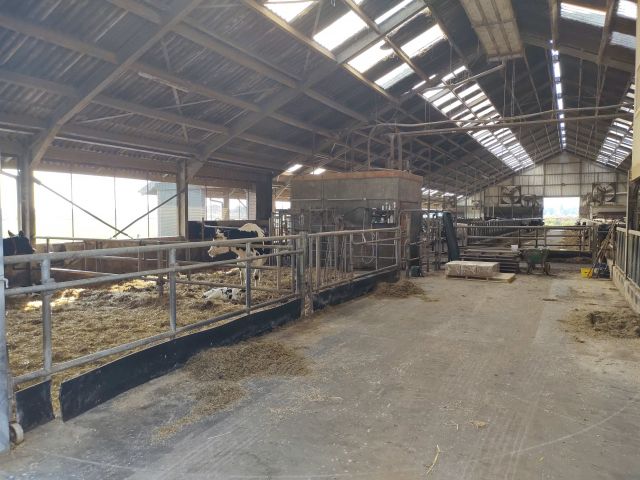 20220911_na_de_vakantierit 30